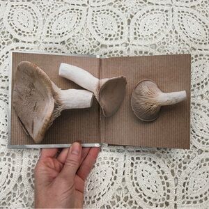 Tiny mushroom cook book